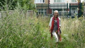 Volunteer-green-space